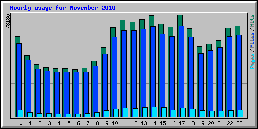 Hourly usage for November 2010