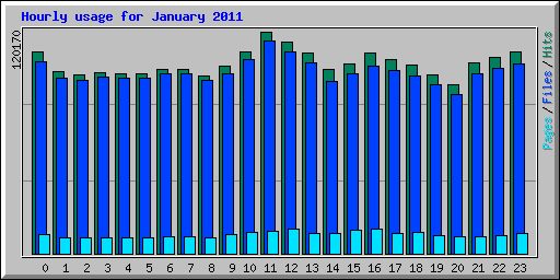 Hourly usage for January 2011