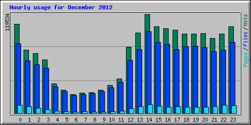 Hourly usage for December 2012