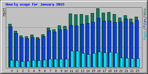 Hourly usage for January 2015